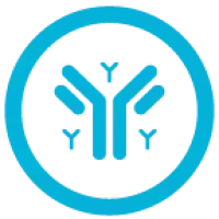 3Large Molecule 2 - Antibody